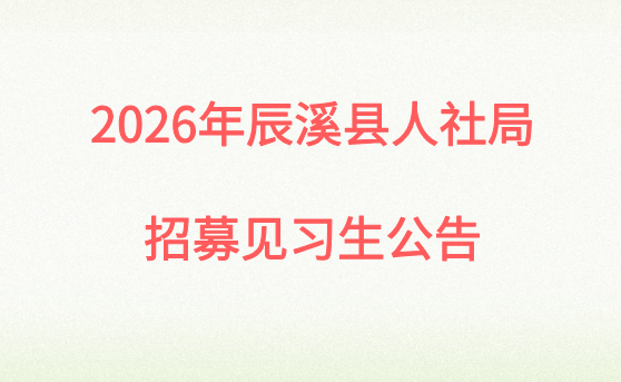 2026年辰溪县人社局招募见习生公告